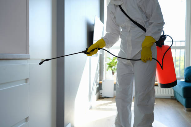 Best Industrial Mold Remediation in Columbus Grove, OH